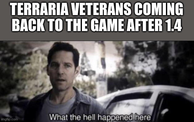 what happened | TERRARIA VETERANS COMING BACK TO THE GAME AFTER 1.4 | image tagged in what the hell happened here | made w/ Imgflip meme maker