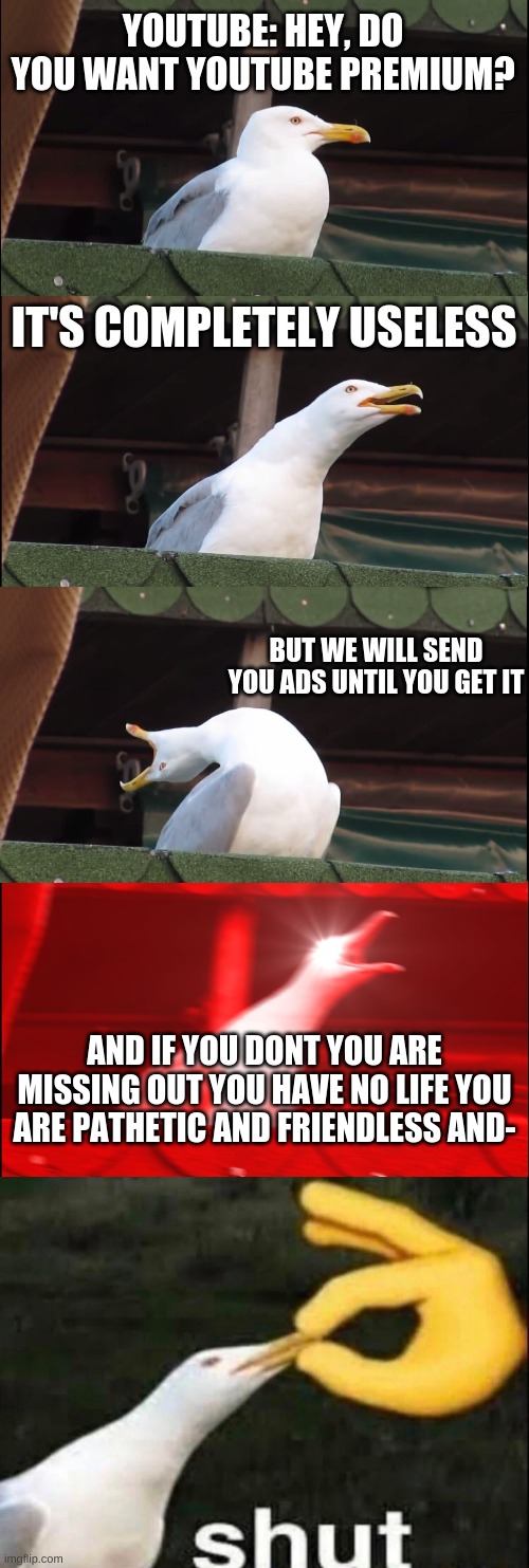 Youtube | YOUTUBE: HEY, DO YOU WANT YOUTUBE PREMIUM? IT'S COMPLETELY USELESS; BUT WE WILL SEND YOU ADS UNTIL YOU GET IT; AND IF YOU DONT YOU ARE MISSING OUT YOU HAVE NO LIFE YOU ARE PATHETIC AND FRIENDLESS AND- | image tagged in memes,inhaling seagull,shut | made w/ Imgflip meme maker