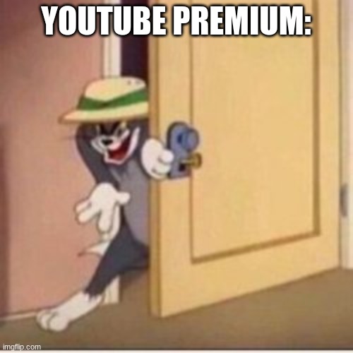 YOUTUBE PREMIUM: | made w/ Imgflip meme maker