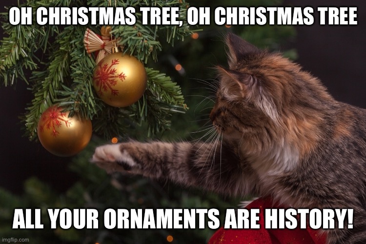 Uh Oh... | OH CHRISTMAS TREE, OH CHRISTMAS TREE; ALL YOUR ORNAMENTS ARE HISTORY! | image tagged in ornaments,cats,christmas tree,memes,bad cat | made w/ Imgflip meme maker