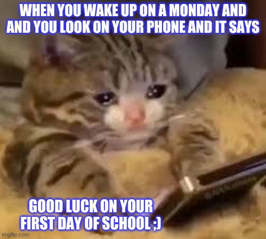 i hate school | WHEN YOU WAKE UP ON A MONDAY AND AND YOU LOOK ON YOUR PHONE AND IT SAYS; GOOD LUCK ON YOUR FIRST DAY OF SCHOOL ;) | image tagged in i hate school mondays | made w/ Imgflip meme maker