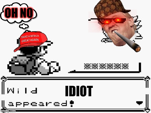 pokemon appears | OH NO; IDIOT | image tagged in pokemon appears | made w/ Imgflip meme maker