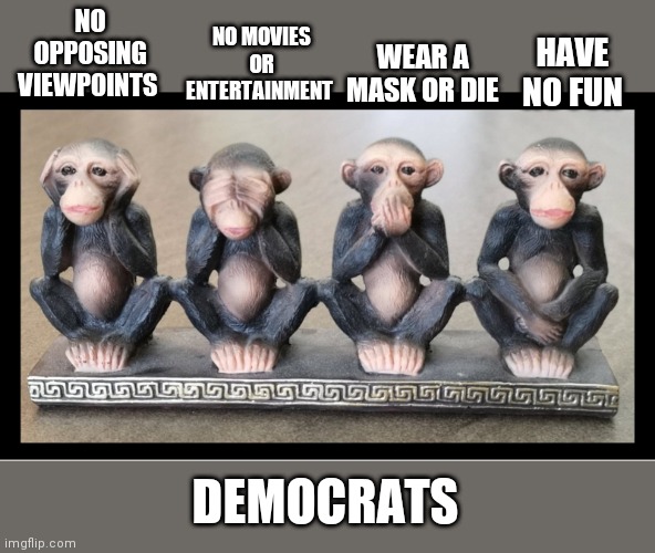 HAVE NO FUN; NO OPPOSING VIEWPOINTS; NO MOVIES OR ENTERTAINMENT; WEAR A MASK OR DIE; DEMOCRATS | image tagged in memes | made w/ Imgflip meme maker