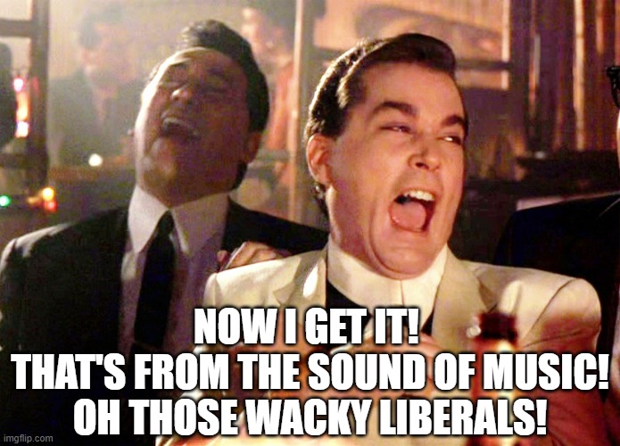 Good Fellas Hilarious Meme | NOW I GET IT! 
THAT'S FROM THE SOUND OF MUSIC!
OH THOSE WACKY LIBERALS! | image tagged in memes,good fellas hilarious | made w/ Imgflip meme maker