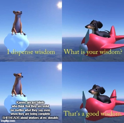 Wisdom dog | Karens are just idiots who think that they are usful no mattter what they say even when they are being complete SHITHEADS about workers at mc donalds | image tagged in wisdom dog | made w/ Imgflip meme maker