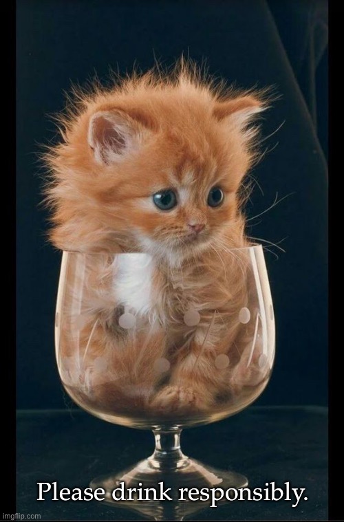 Meowlot | Please drink responsibly. | image tagged in funny memes,funny cat memes,funny,cats,funny cats | made w/ Imgflip meme maker