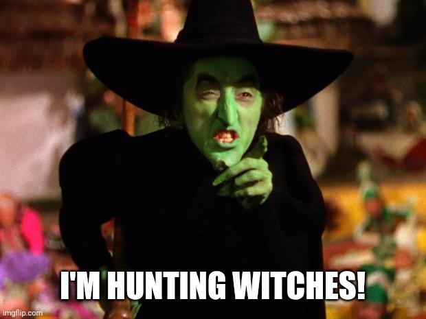 wicked witch  | I'M HUNTING WITCHES! | image tagged in wicked witch | made w/ Imgflip meme maker