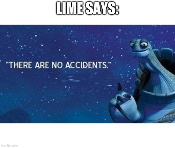 There are no accidents | LIME SAYS: | image tagged in there are no accidents | made w/ Imgflip meme maker