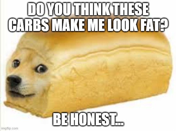 doggo | DO YOU THINK THESE CARBS MAKE ME LOOK FAT? BE HONEST... | image tagged in doge bread | made w/ Imgflip meme maker