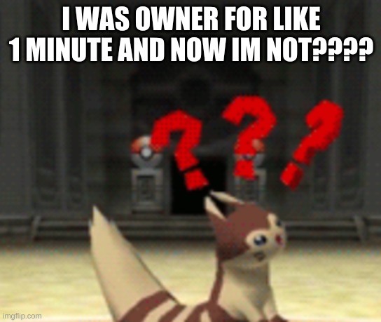 Confused furret | I WAS OWNER FOR LIKE 1 MINUTE AND NOW IM NOT???? | image tagged in confused furret | made w/ Imgflip meme maker