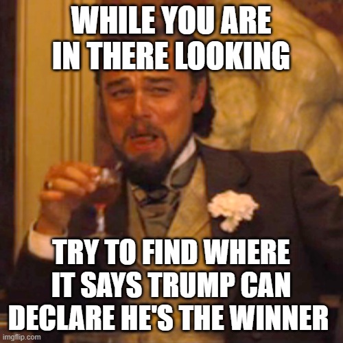 Laughing Leo Meme | WHILE YOU ARE IN THERE LOOKING TRY TO FIND WHERE IT SAYS TRUMP CAN DECLARE HE'S THE WINNER | image tagged in memes,laughing leo | made w/ Imgflip meme maker