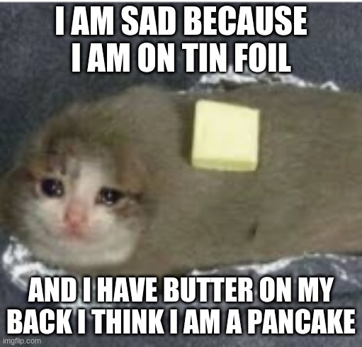 I AM SAD BECAUSE I AM ON TIN FOIL; AND I HAVE BUTTER ON MY BACK I THINK I AM A PANCAKE | image tagged in cute | made w/ Imgflip meme maker