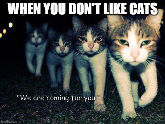 revenge of the cats | WHEN YOU DON'T LIKE CATS; "We are coming for you!" | image tagged in memes,wrong neighboorhood cats | made w/ Imgflip meme maker