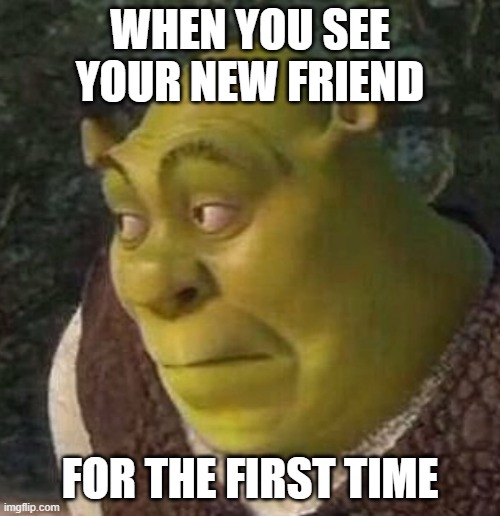 Friend Shrek Meme | WHEN YOU SEE YOUR NEW FRIEND; FOR THE FIRST TIME | image tagged in shrek,memes | made w/ Imgflip meme maker