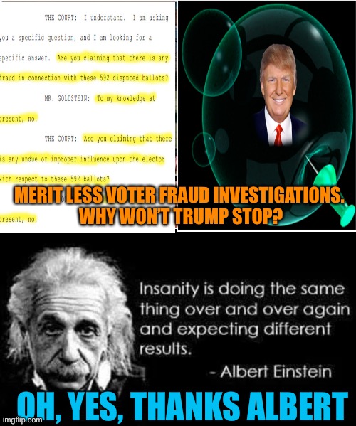 The definition of Trump | MERIT LESS VOTER FRAUD INVESTIGATIONS. 
WHY WON’T TRUMP STOP? OH, YES, THANKS ALBERT | image tagged in donald trump,election 2020,voter fraud,orange,loser | made w/ Imgflip meme maker