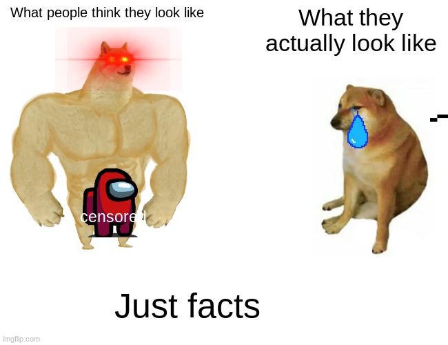 Censored | What people think they look like; What they actually look like; censored; Just facts | image tagged in memes,buff doge vs cheems | made w/ Imgflip meme maker