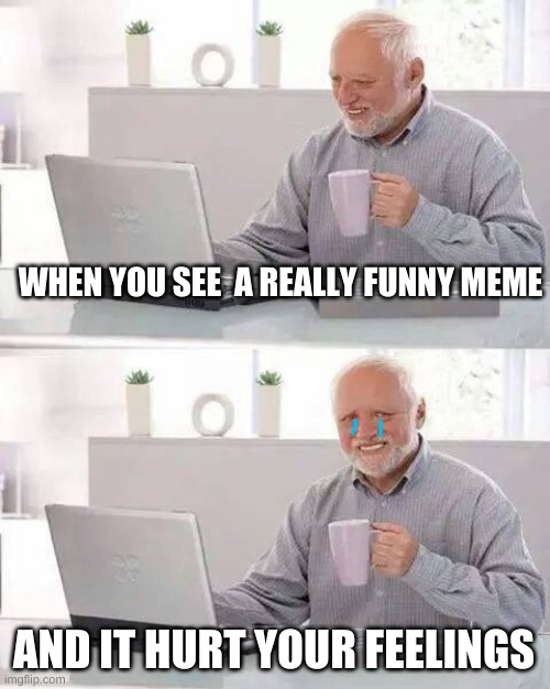 remember to be nice on IMGFLIP because you might hurt Harold's feelings | WHEN YOU SEE  A REALLY FUNNY MEME; AND IT HURT YOUR FEELINGS | image tagged in memes,hide the pain harold,sad,fun | made w/ Imgflip meme maker