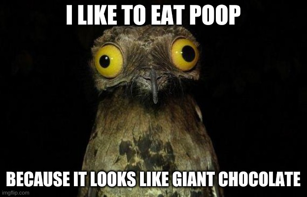 potoooooooooooooooooooooooooooo | I LIKE TO EAT POOP; BECAUSE IT LOOKS LIKE GIANT CHOCOLATE | image tagged in memes,weird stuff i do potoo | made w/ Imgflip meme maker