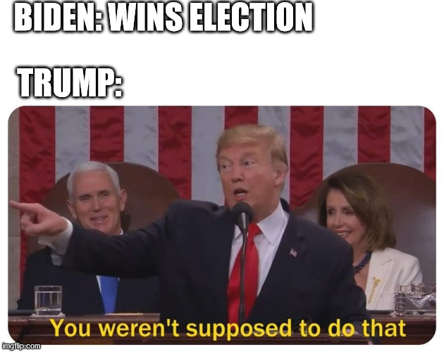 Could have been in politics but the template fit so well | BIDEN: WINS ELECTION; TRUMP: | image tagged in you weren't supposed to do that | made w/ Imgflip meme maker