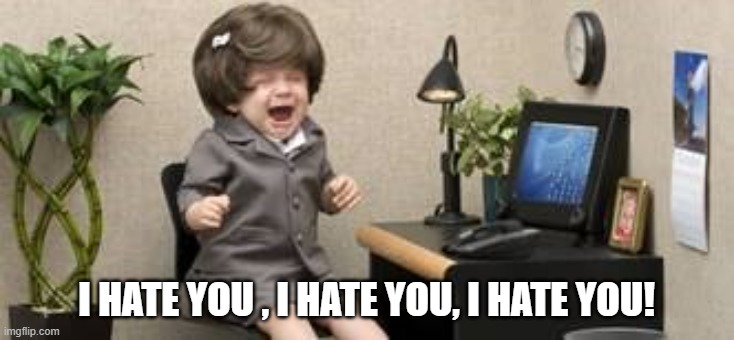 coworker | I HATE YOU , I HATE YOU, I HATE YOU! | image tagged in tantrum,work tantrum,coworker hate,angry coworker,i hate you | made w/ Imgflip meme maker