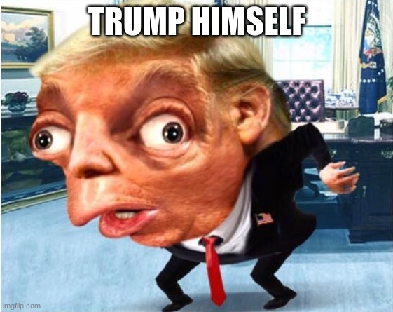 DA REAL MAN | TRUMP HIMSELF | image tagged in mocking trump | made w/ Imgflip meme maker
