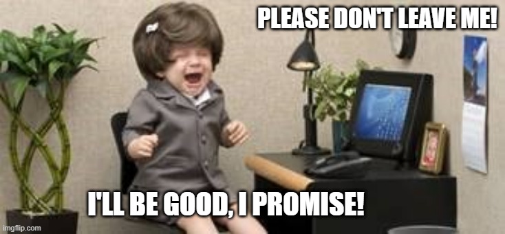 office tantrum | PLEASE DON'T LEAVE ME! I'LL BE GOOD, I PROMISE! | image tagged in tantrum,the office,office tantrum | made w/ Imgflip meme maker