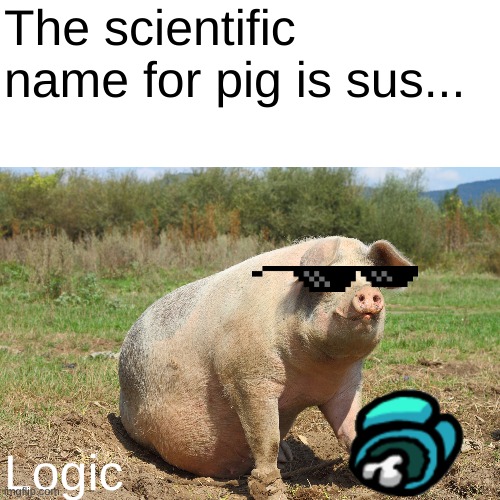 The scientific name for pig is sus... Logic | image tagged in among us | made w/ Imgflip meme maker