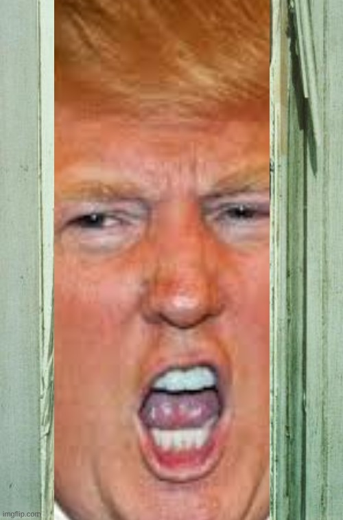 Here's Trumppy | image tagged in donald trump,trump,heres johnny,scary | made w/ Imgflip meme maker