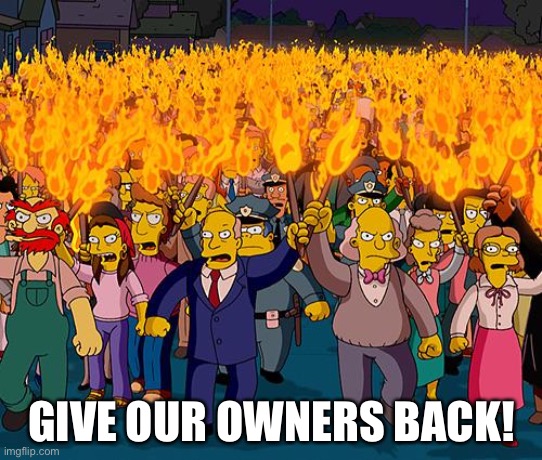 angry mob | GIVE OUR OWNERS BACK! | image tagged in angry mob | made w/ Imgflip meme maker