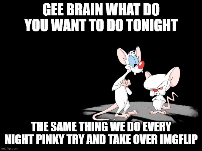 Pinky And The Brain | GEE BRAIN WHAT DO YOU WANT TO DO TONIGHT; THE SAME THING WE DO EVERY NIGHT PINKY TRY AND TAKE OVER IMGFLIP | image tagged in pinky and the brain,memes | made w/ Imgflip meme maker