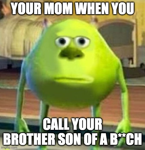 Monsters Inc Face Swap | YOUR MOM WHEN YOU; CALL YOUR BROTHER SON OF A B**CH | image tagged in monsters inc face swap | made w/ Imgflip meme maker