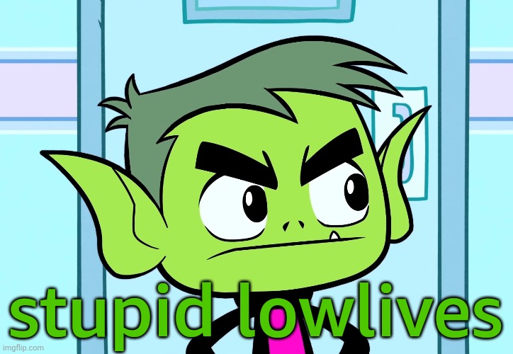 Angry Beast Boy (TTG) | stupid lowlives | image tagged in angry beast boy ttg | made w/ Imgflip meme maker