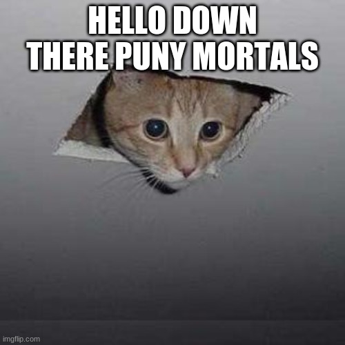 Ceiling Cat Meme | HELLO DOWN THERE PUNY MORTALS | image tagged in memes,ceiling cat | made w/ Imgflip meme maker