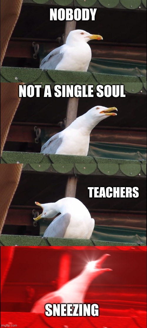 Inhaling Seagull | NOBODY; NOT A SINGLE SOUL; TEACHERS; SNEEZING | image tagged in memes,inhaling seagull | made w/ Imgflip meme maker