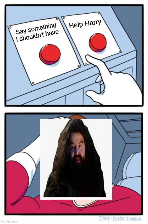 Two Buttons Meme | Help Harry; Say something I shouldn't have | image tagged in memes,two buttons,hagrid,harry potter | made w/ Imgflip meme maker