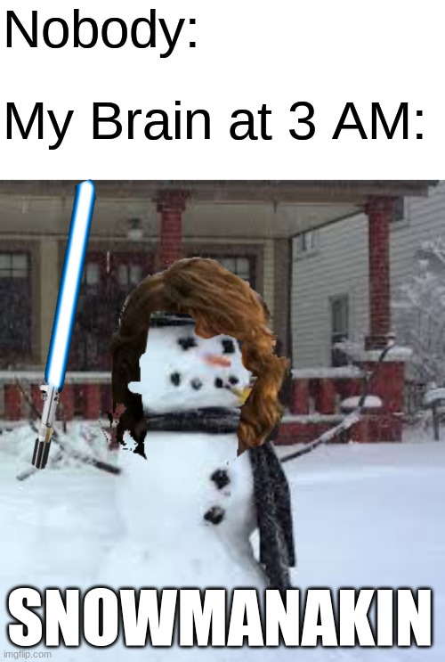 Snowmanakin | Nobody:; My Brain at 3 AM:; SNOWMANAKIN | image tagged in blank white template,anakin skywalker,star wars,snowman | made w/ Imgflip meme maker