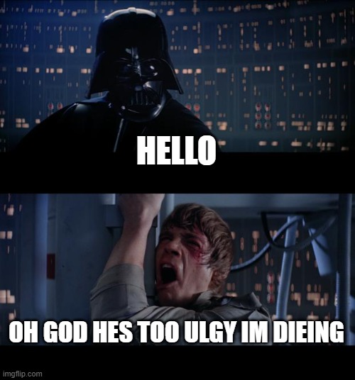 Star Wars No Meme | HELLO; OH GOD HES TOO ULGY IM DIEING | image tagged in memes,star wars no | made w/ Imgflip meme maker