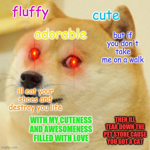 so true with a dog | fluffy; cute; but if you don't take me on a walk; adorable; ill eat your shoes and destroy you life; THEN ILL TEAR DOWN THE PET STORE CAUSE YOU GOT A CAT; WITH MY CUTENESS AND AWESOMENESS FILLED WITH LOVE | image tagged in memes,doge,cats | made w/ Imgflip meme maker