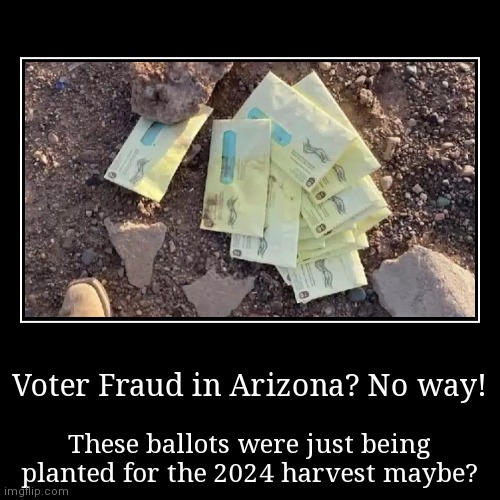 Voter fraud does not exist in Arizona.....when YOUR candidate benefits from it right? | image tagged in demotivationals,voter fraud,arizona | made w/ Imgflip demotivational maker