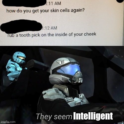 Intelligent | image tagged in they seem nice | made w/ Imgflip meme maker