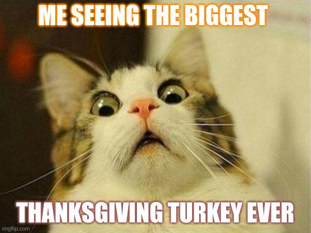 Scared Cat Meme | ME SEEING THE BIGGEST; THANKSGIVING TURKEY EVER | image tagged in memes,scared cat | made w/ Imgflip meme maker