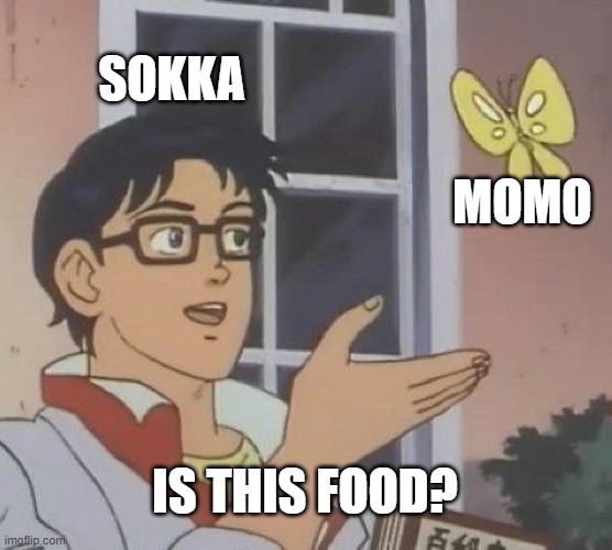 hungry sokka | SOKKA; MOMO; IS THIS FOOD? | image tagged in memes,is this a pigeon | made w/ Imgflip meme maker