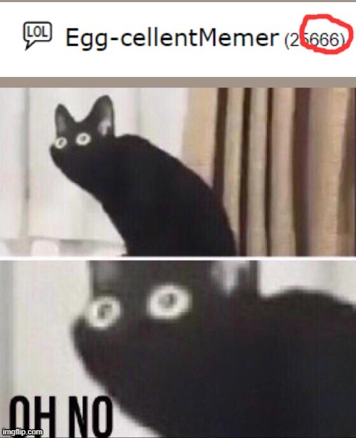 Oh no cat | image tagged in oh no | made w/ Imgflip meme maker