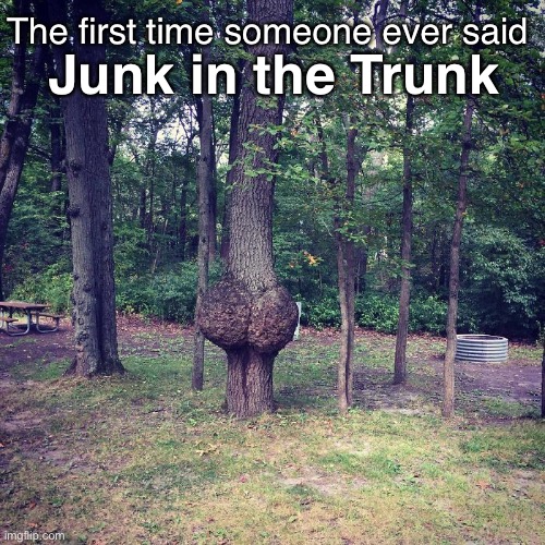 A New Phrase | The first time someone ever said; Junk in the Trunk | image tagged in funny memes,tree,big butts,junk in the trunk | made w/ Imgflip meme maker