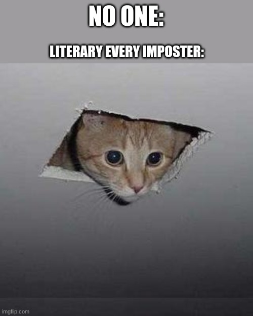 Ceiling Cat Meme | NO ONE:; LITERARY EVERY IMPOSTER: | image tagged in memes,ceiling cat | made w/ Imgflip meme maker