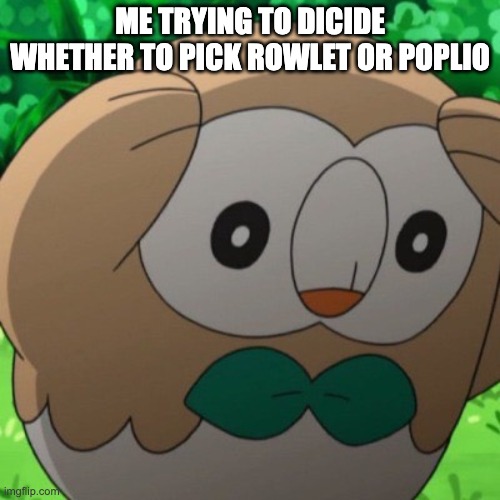 Rowlet Meme Template | ME TRYING TO DICIDE WHETHER TO PICK ROWLET OR POPLIO | image tagged in rowlet meme template | made w/ Imgflip meme maker