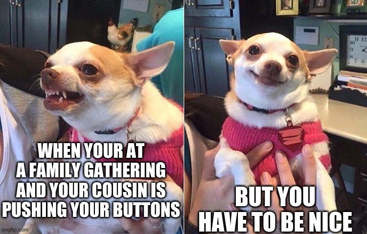 every family gathering | BUT YOU HAVE TO BE NICE; WHEN YOUR AT A FAMILY GATHERING AND YOUR COUSIN IS PUSHING YOUR BUTTONS | image tagged in angry dog meme | made w/ Imgflip meme maker
