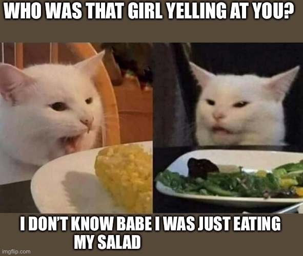 Why was she yelling at you | WHO WAS THAT GIRL YELLING AT YOU? I DON’T KNOW BABE I WAS JUST EATING MY SALAD | image tagged in cat eating salad | made w/ Imgflip meme maker