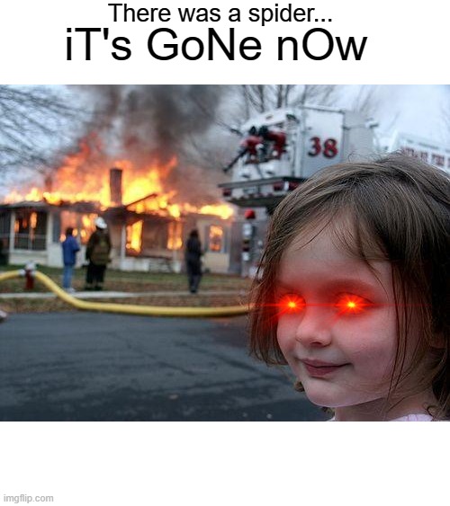 Disaster Girl Meme | There was a spider... iT's GoNe nOw | image tagged in memes,disaster girl | made w/ Imgflip meme maker
