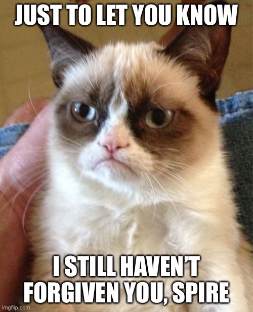 Grumpy Cat | JUST TO LET YOU KNOW; I STILL HAVEN’T FORGIVEN YOU, SPIRE | image tagged in memes,grumpy cat | made w/ Imgflip meme maker